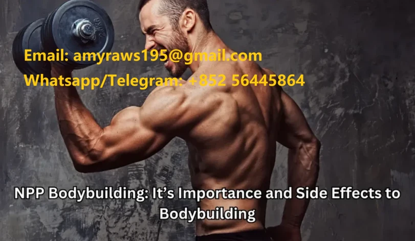 product-811-472